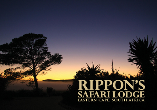 rippon's bookmark